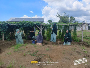 Panen Perdana Muslimat Hidayatullah Papua, Wujudkan Ikhtiar Ketahanan Pangan Keluarga